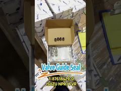 1-87618429-0 Segel Panduan Katup 1876184290 cocok untuk ISUZU 4HK1 6HK1 6UZ1