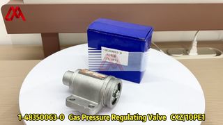 Katup Pengatur Tekanan Udara 1-48350063-0 1483500630 untuk Pengatur Udara ISUZU CXZ 10PE1