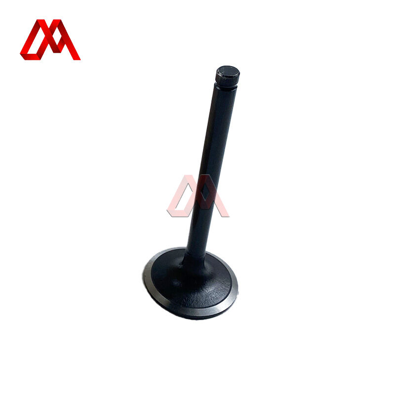 13711-78010 Intake Valve for Toyota